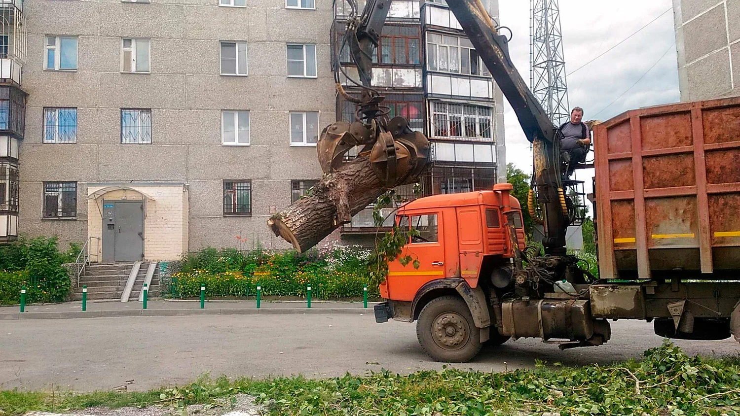 Вывоз спиленных веток и деревьев в Казани от ПроМусор: порубочные остатки, утилизация, цена от 3079 руб