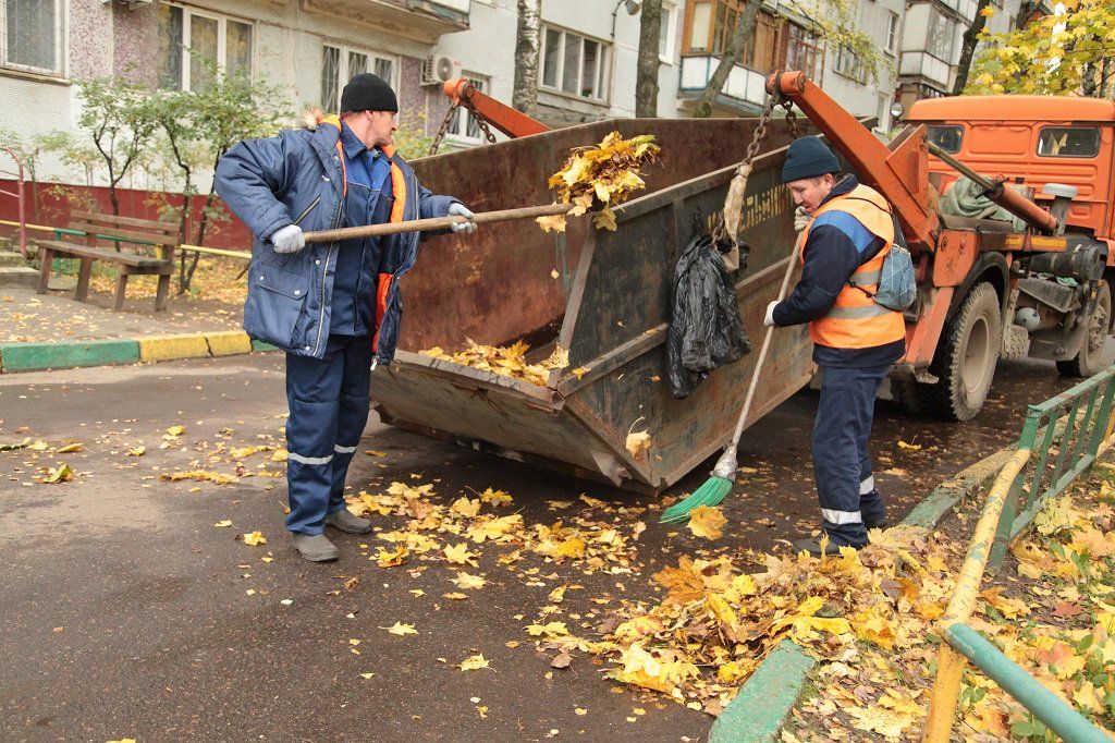Вывоз опавшей листвы и растительного мусора в Казани от ПроМусор – цена от 4778 руб., быстрая уборка и утилизация